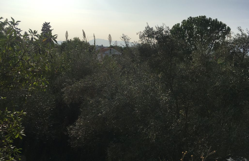 AlohaCamp La Cabaña  1