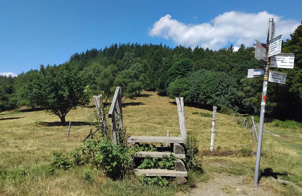 Un Air D'alsace AlohaCamp