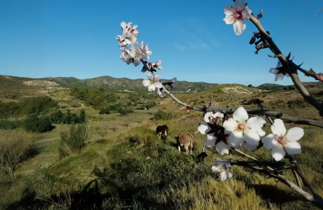 Alquiler Cartagena Finca El Pocico 1