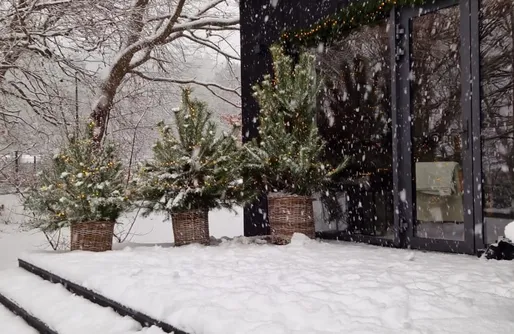 Zdjęcie obiektu Komorebi Cabins