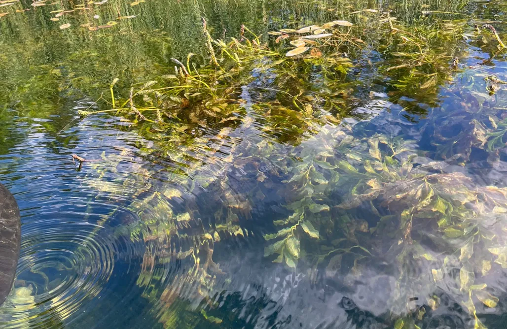 Mazury Noclegi Nad Jeziorem ⛵️ Zelwa Pauza - domek nad jeziorem 1