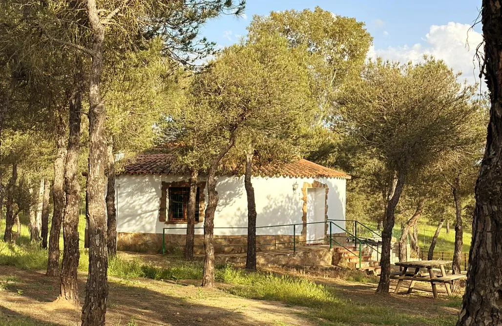 Majorka Last Minute Chozos Rurales Berlanga 2