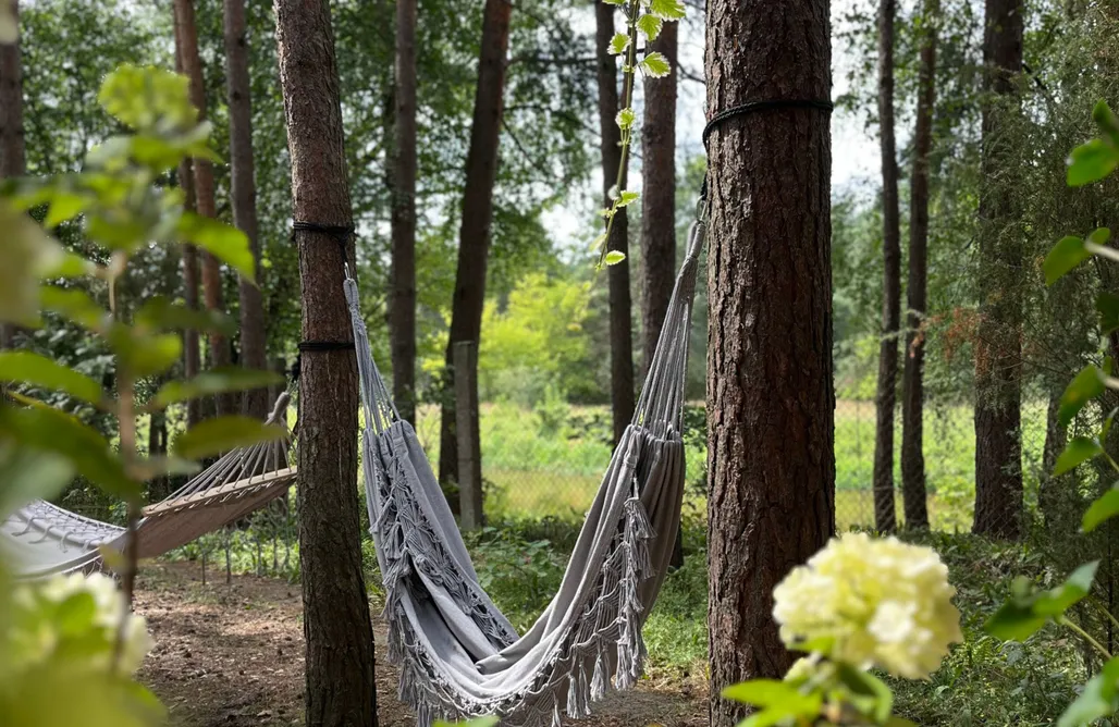 ubytovanie AlohaCamp Domek w ptasim gaju 4