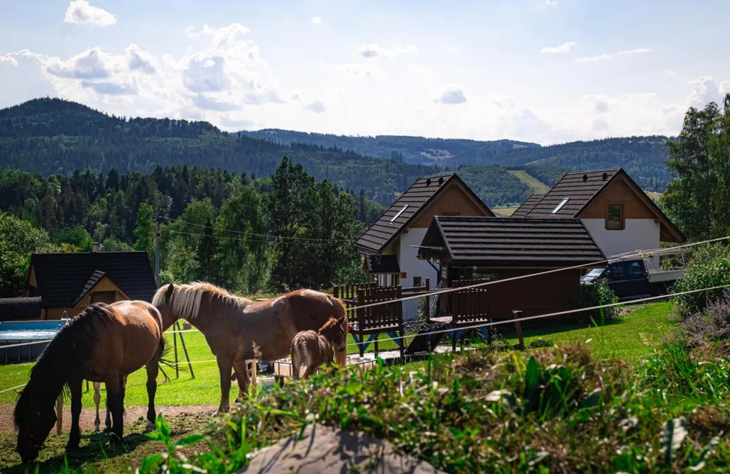 noclegi AlohaCamp Domki w Górach Osadowe Wzgórze w Wiśle 5