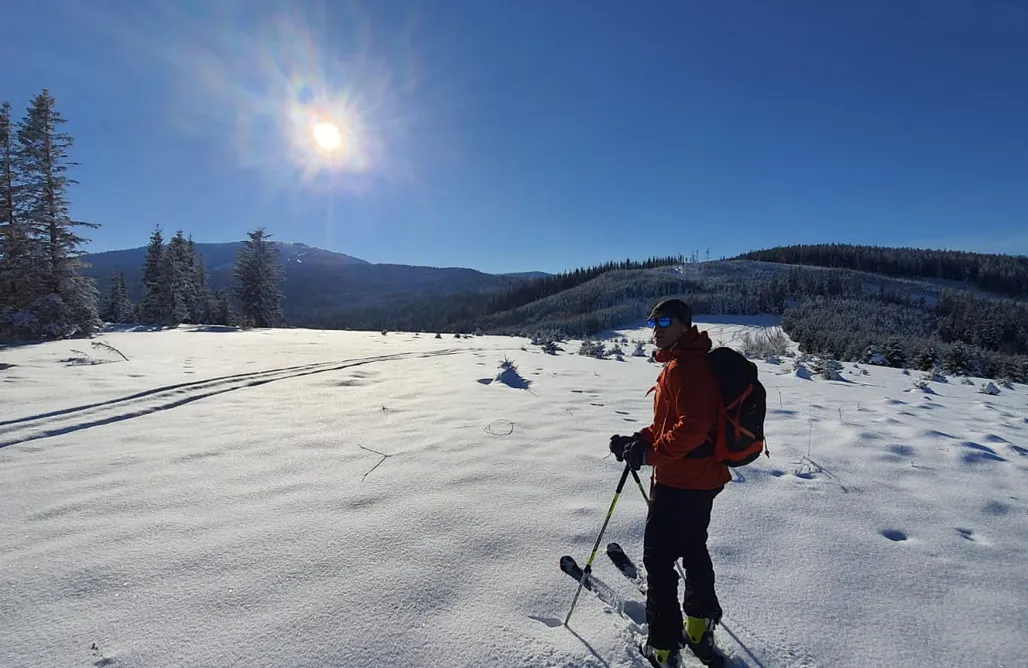 AlohaCamp Zagajnik 1