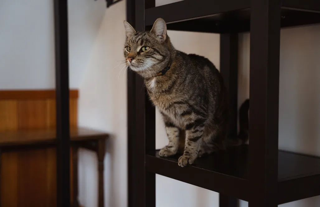 AlohaCamp 7. Pokój dwuosobowy nr 7 1