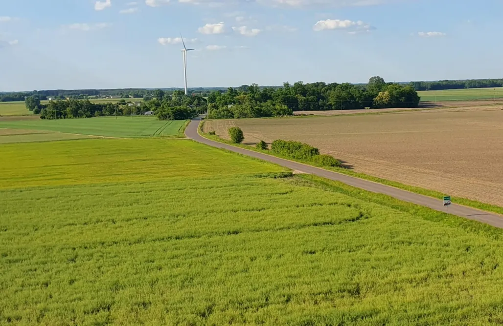 AlohaCamp Leonówka 1