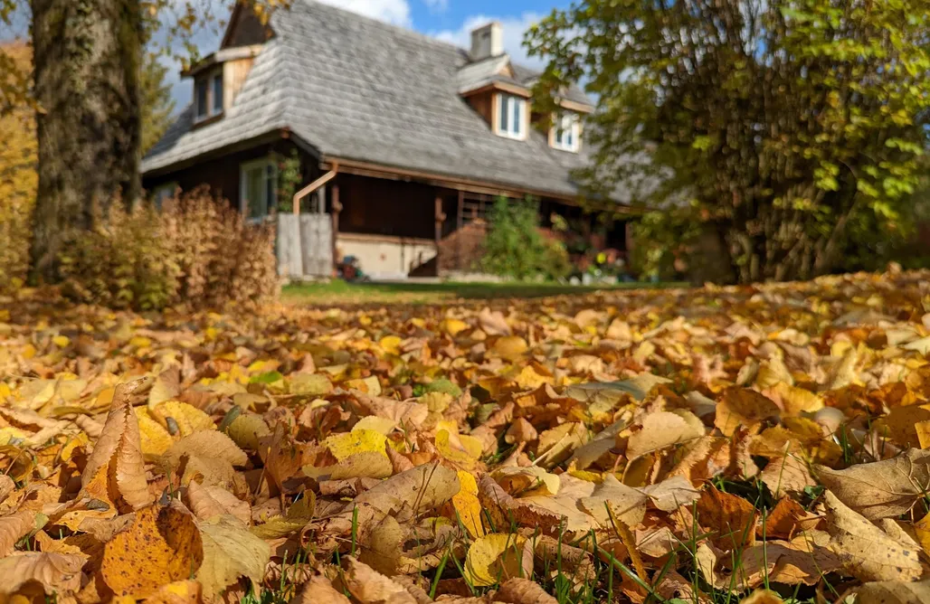 Hotel z animacjami dla dzieci w górach Noclegi U Lestka - Bieszczady przez cały rok! 3