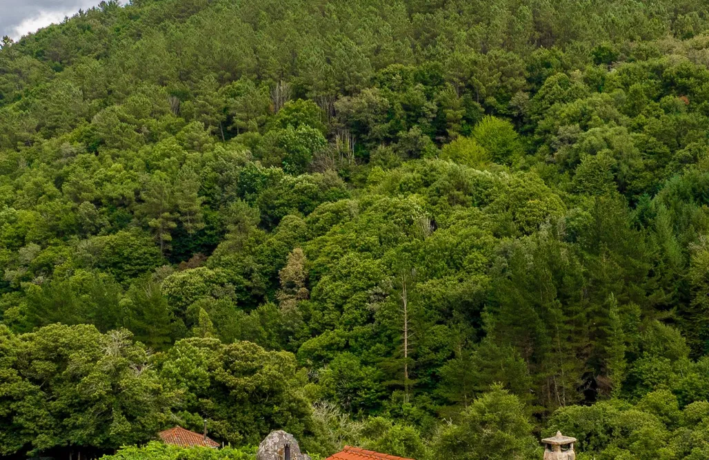 Cave House Spain Casiña Raíz Entre viñas y cielo Ribeira Sacra 1