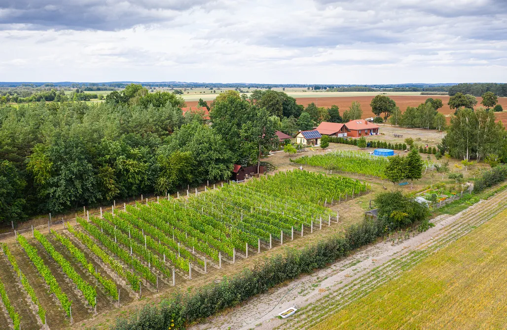 Pole Namiotowe Kaszuby Miejsce kamperowe i namiotowe - Winnica Alvarium 2
