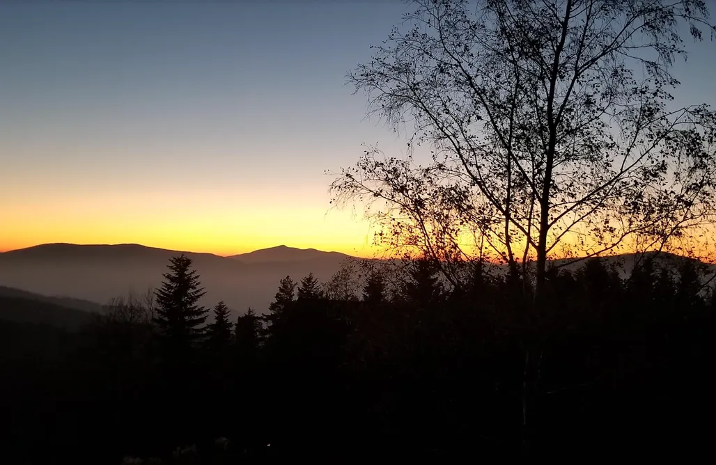 AlohaCamp accommodation Mountain Cabin 1