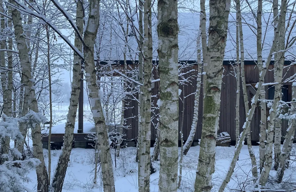 Noclegi z Wyżywieniem Cisza Tu 3