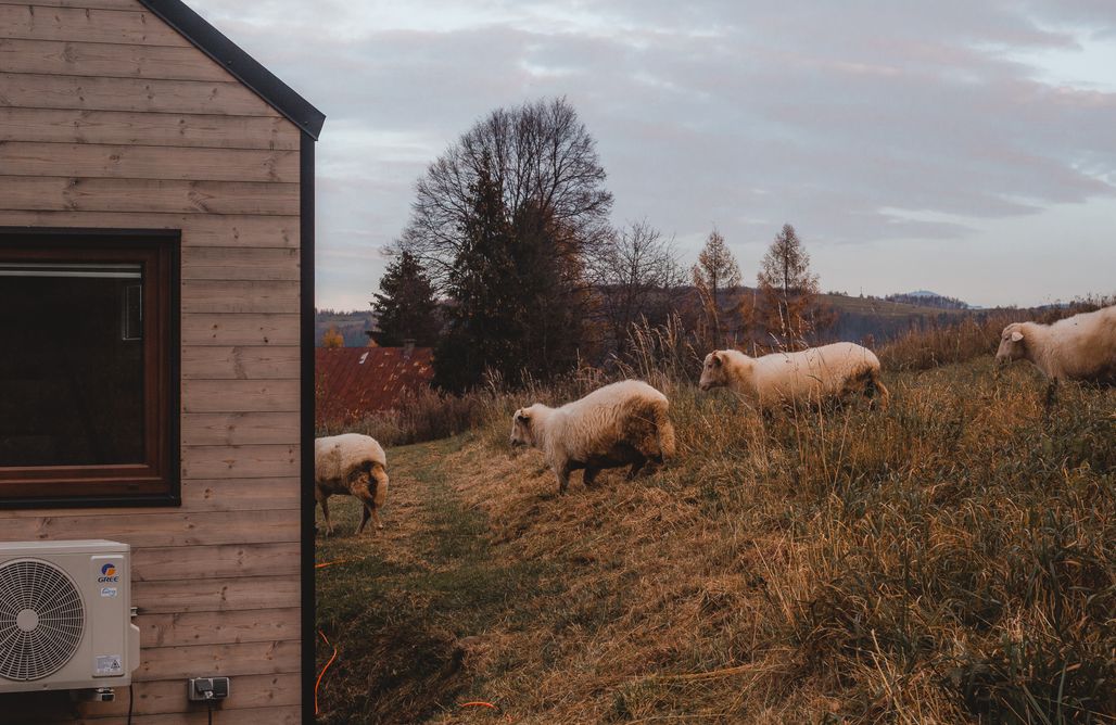 noclegi AlohaCamp Aurora Green Hill - Sunshine z sauną 5