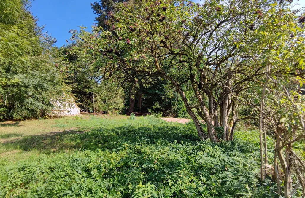 noclegi AlohaCamp Namiot Miłości w Osadzie Przyjaźni 3