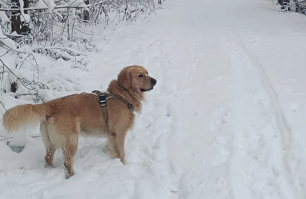 Unterkunft AlohaCamp Chatka w trawach 1