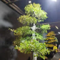 Katarzyna użytkownik