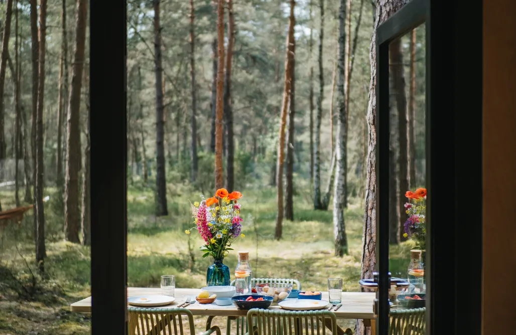 Rezerwat Przyrody Puszcza Słupecka ForRest Tower z sauną 1