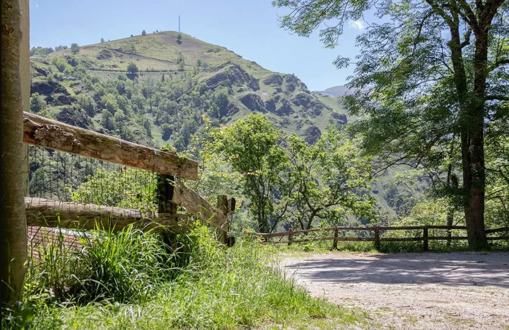 AlohaCamp Toki-Ona 1