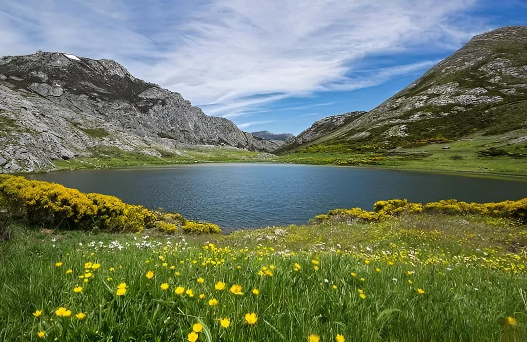 alojamientos AlohaCamp Casa do Duende 3