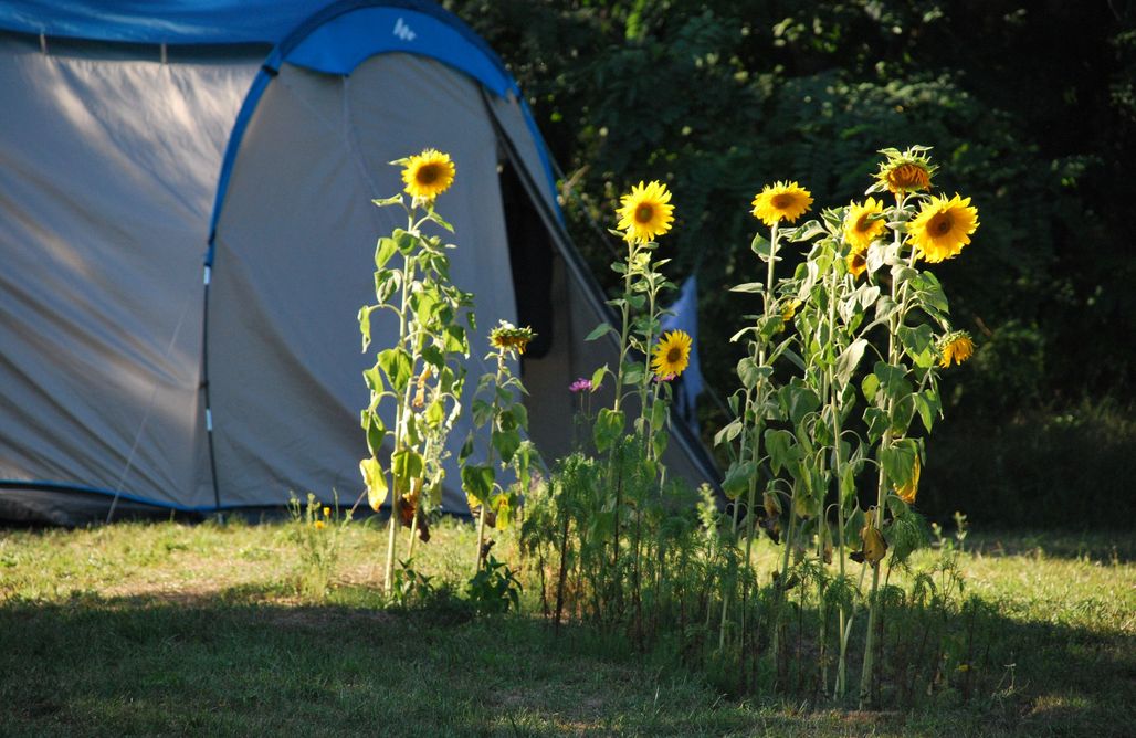 Pole campingowe Kaszuby Miejsce kamperowe i namiotowe - Grotów 5  2