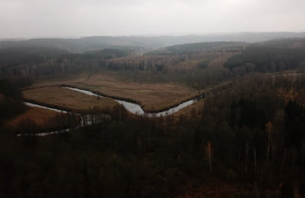 Olsztynek noclegi Cichy Las 3