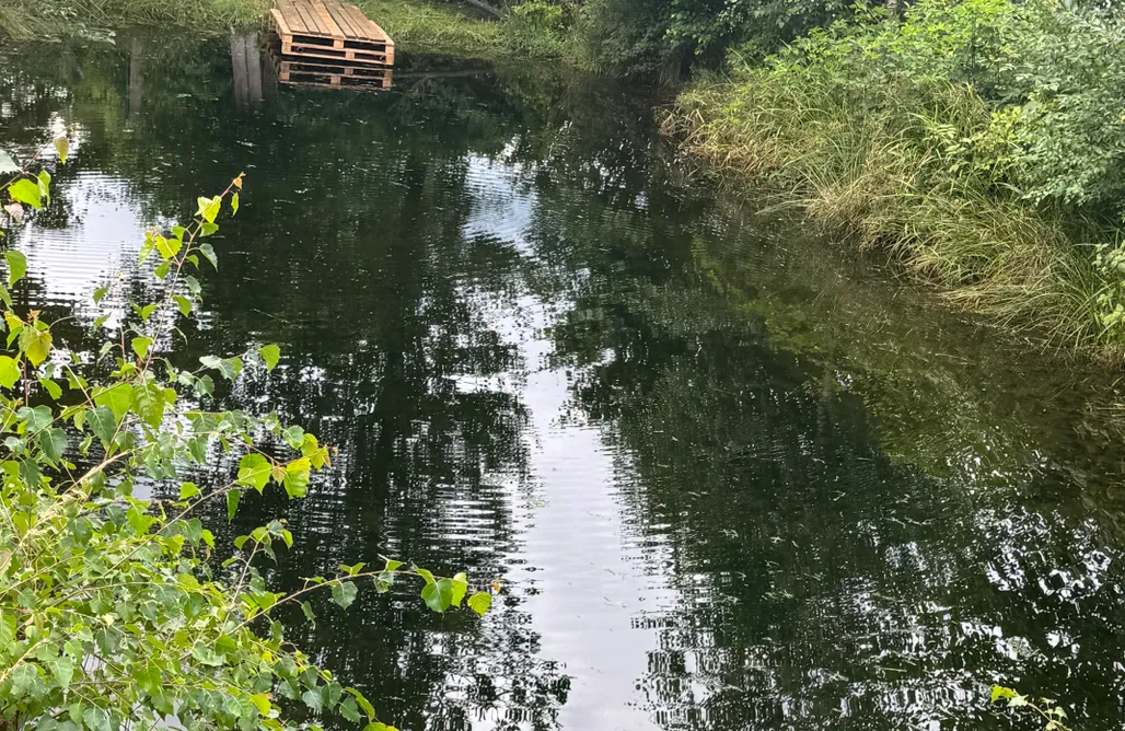 noclegi AlohaCamp Sielanka 5