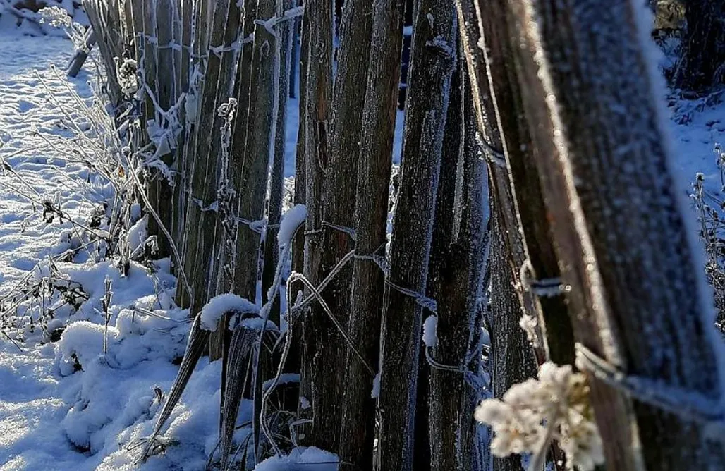 Unterkunft AlohaCamp Landhaus Fürstenhof 1