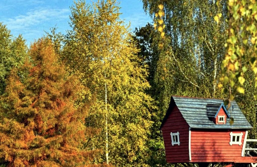 Hébergement AlohaCamp Île rien que pour vous + sauna, feu de camp 5