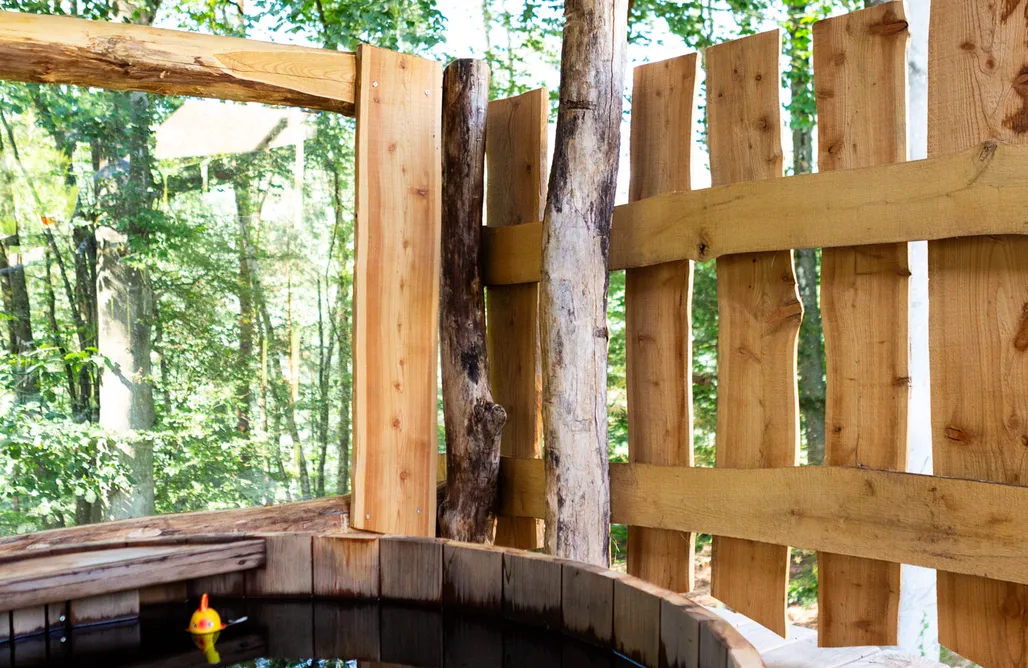 In The Mountains La Cabane de l'Etang du Domaine de la Forestière 1