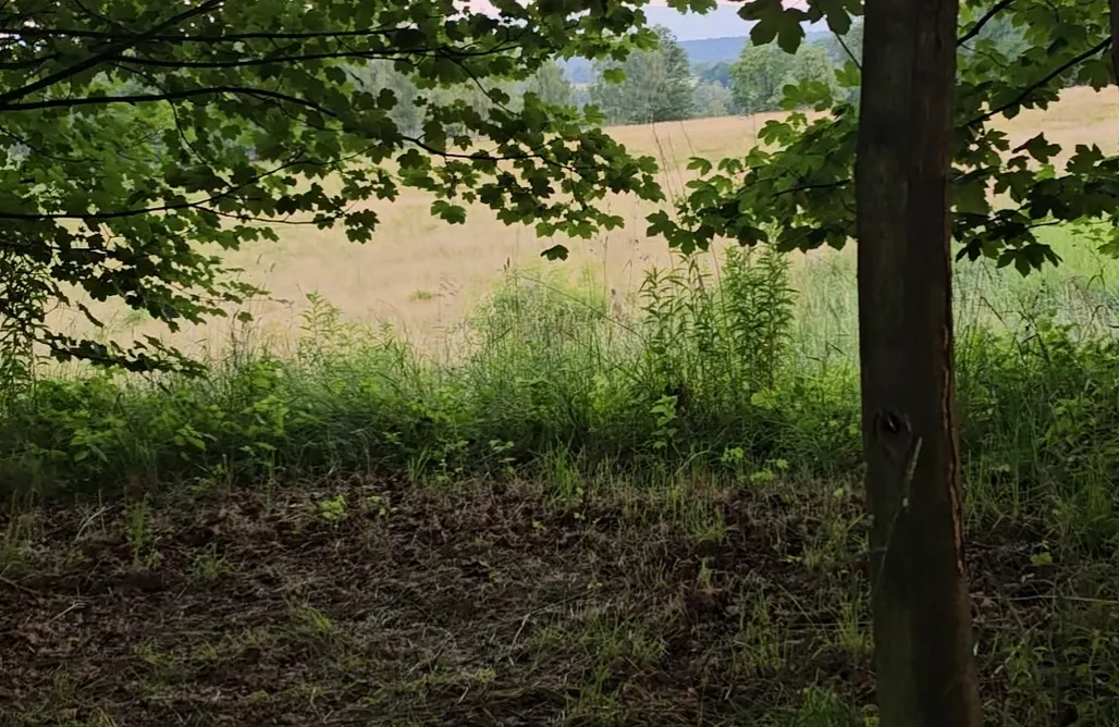 Camping Deutschland Ałabajka Camping 1