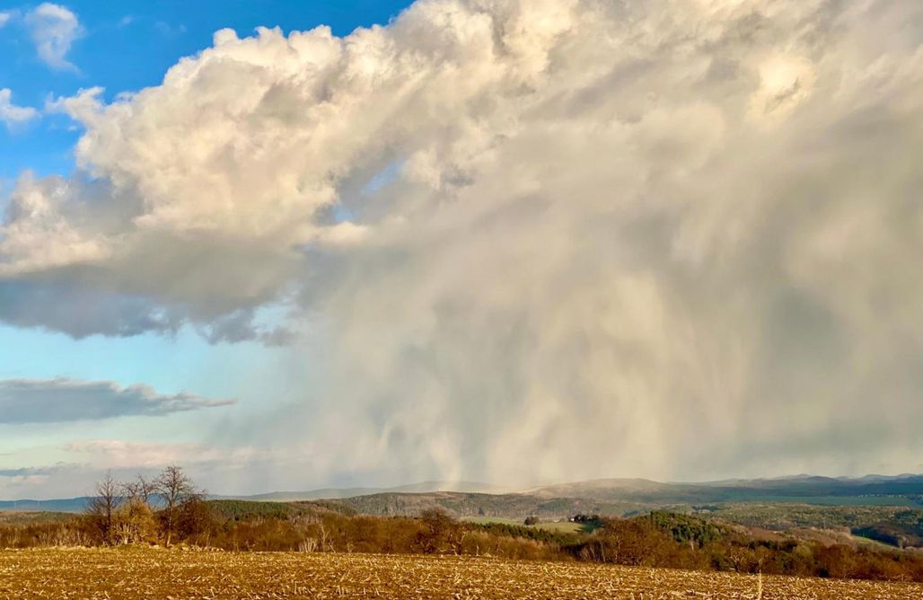 Ferienwohnung Natur und Kunst AlohaCamp