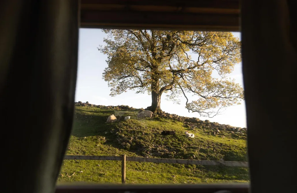 Campingplatz The Wagon, rustic off grid experience 3