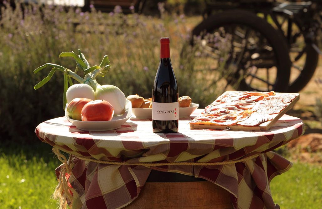 Campings Murcia Enoturismo Ecuestre 3