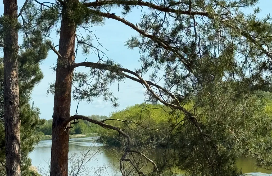 noclegi AlohaCamp Żurawie Malwy  1