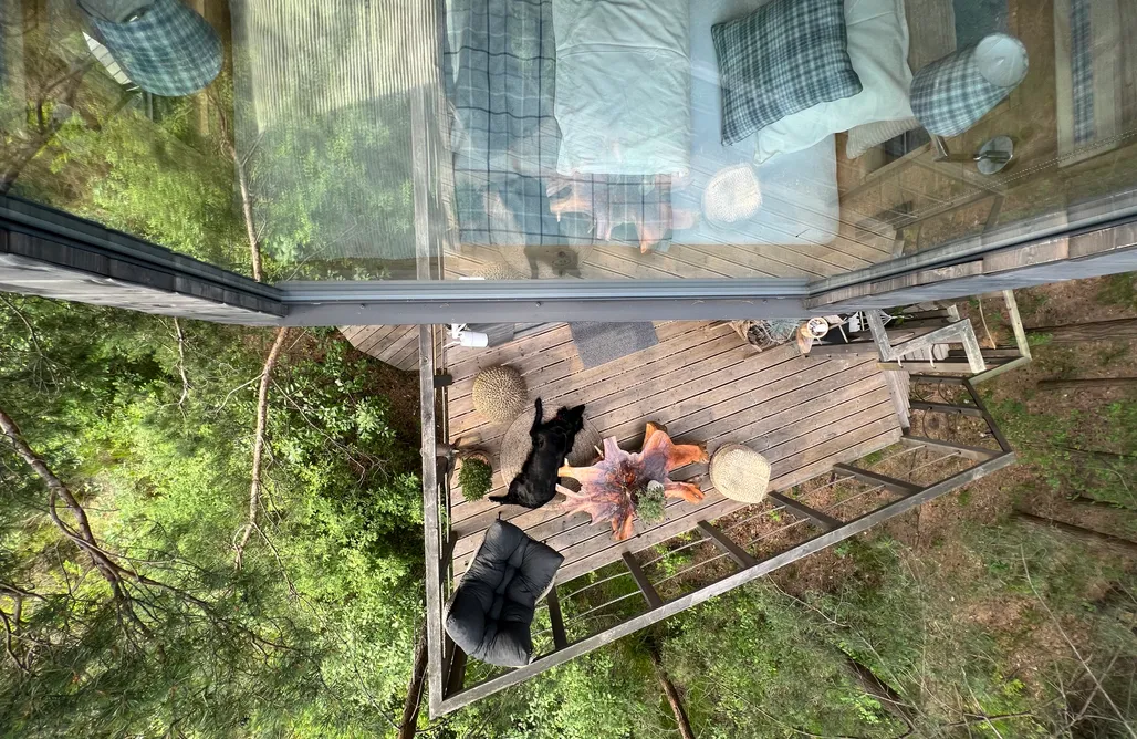 noclegi AlohaCamp My Tree Home 5