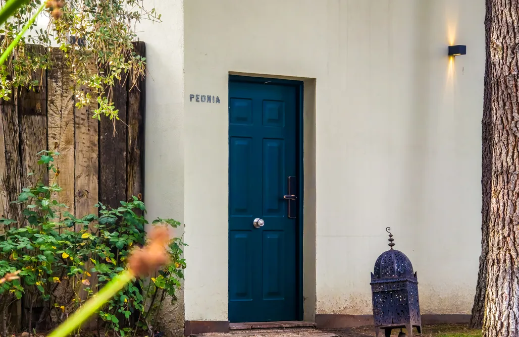 alojamientos AlohaCamp Hotel Boutique Pinar 1