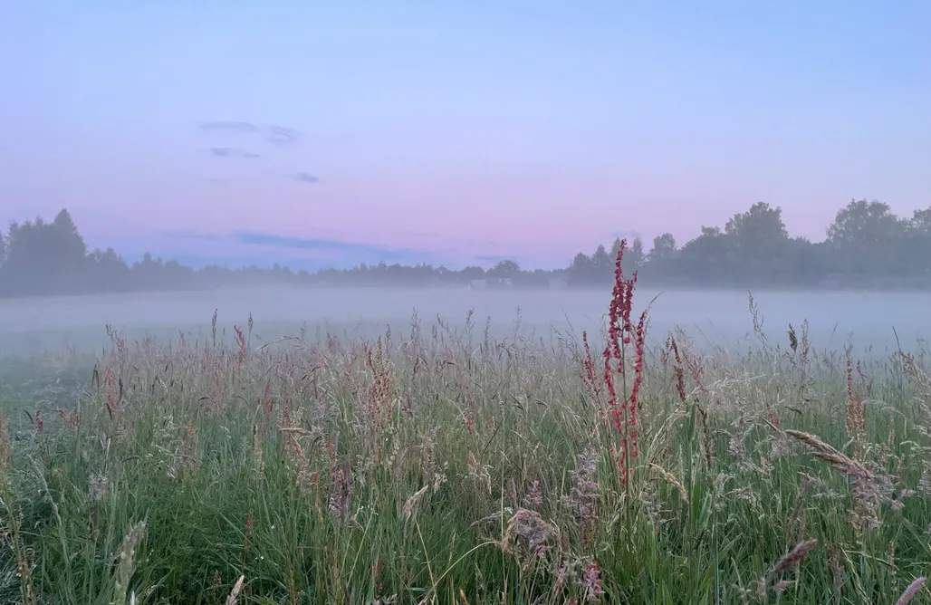 Domki Nad Jeziorem Kujawsko-Pomorskie Leśne Siedlisko Wygonin  1