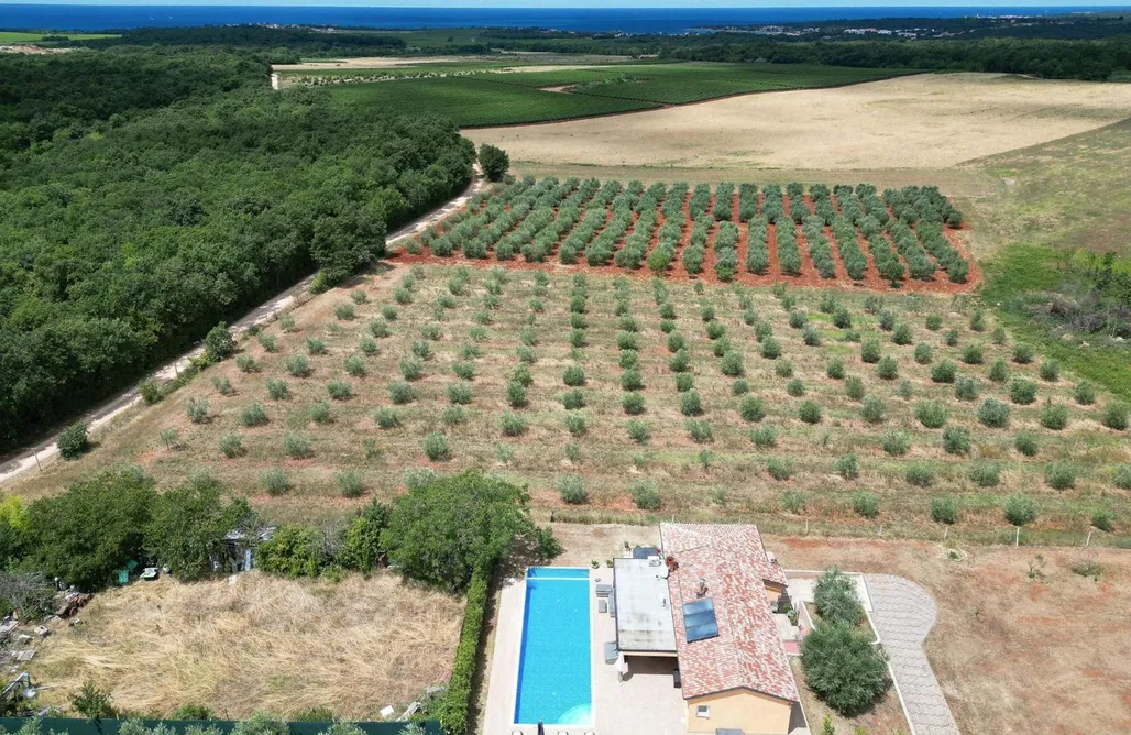 Alloggio AlohaCamp Villa Absolute privacy 5