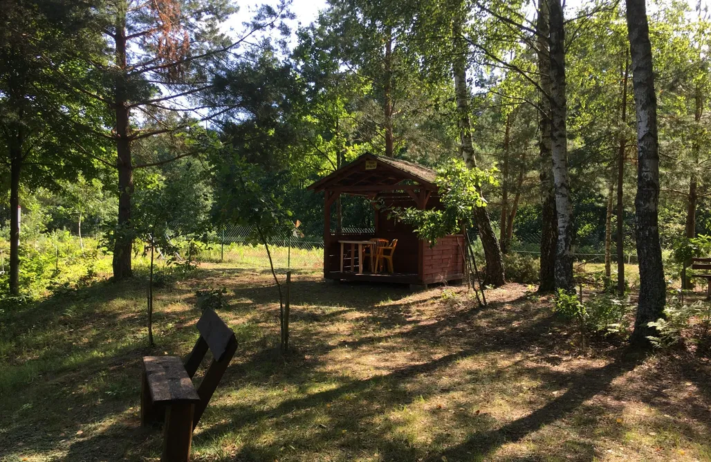 noclegi AlohaCamp Siedlisko Czarny Bocian 4