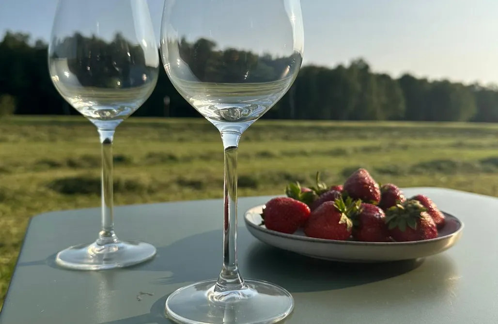 Leśnica noclegi Łąkowy wóz  1