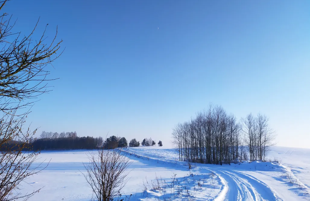 Fajne Wczasy piękna przytulna CHATA KNYSZEWICZE, żubry i natura 1