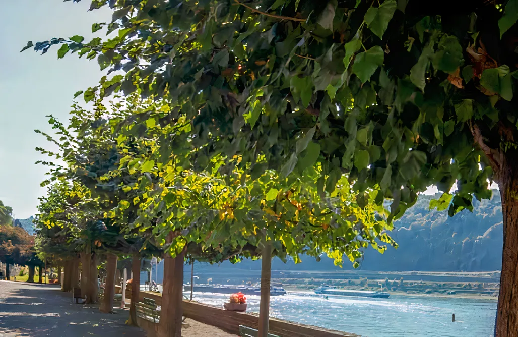 alojamientos AlohaCamp Das Schlösschen 4