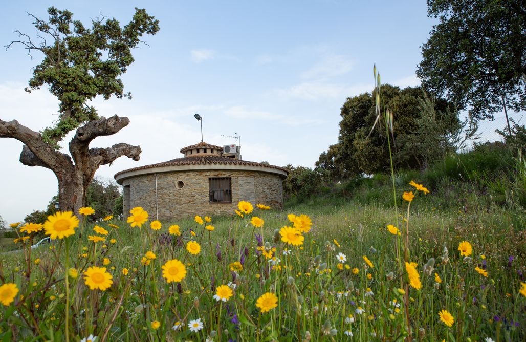 Casas rurales Castilla y León Los Chozos del Geoparque 3