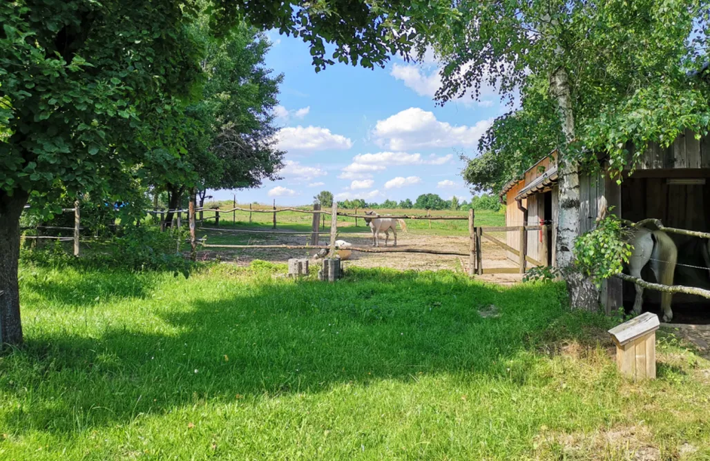 AlohaCamp Wooden cottage at Feel free farm 1