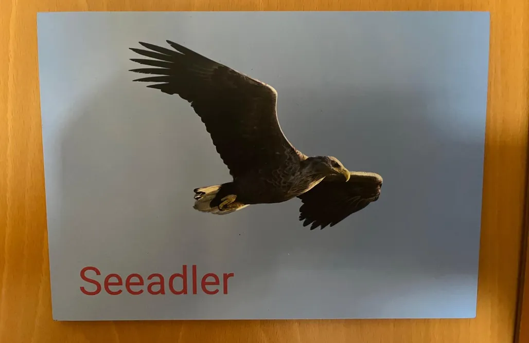 AlohaCamp Seeadler – Erdgeschoss 1