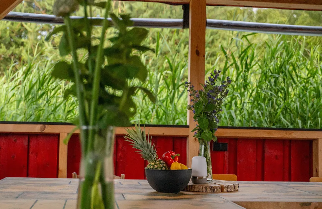 Domki Władysławowo 🌊 Jurty Glamping Moje Taghazout 1