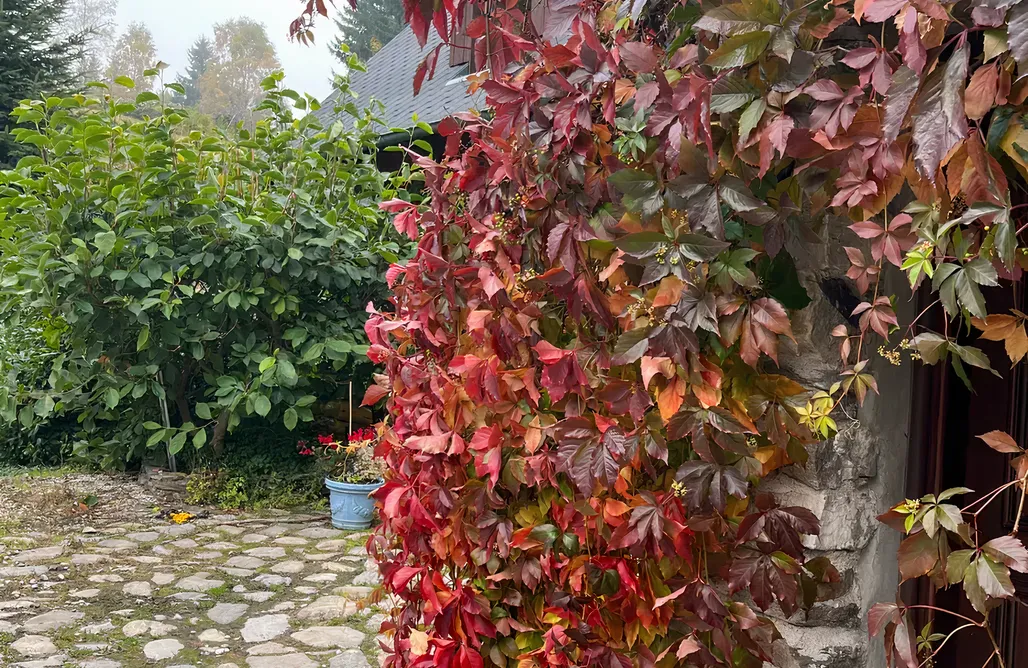 noclegi AlohaCamp Kamienny Domek 1