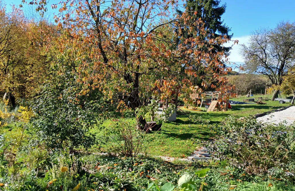 Tweet apartments  AlohaCamp