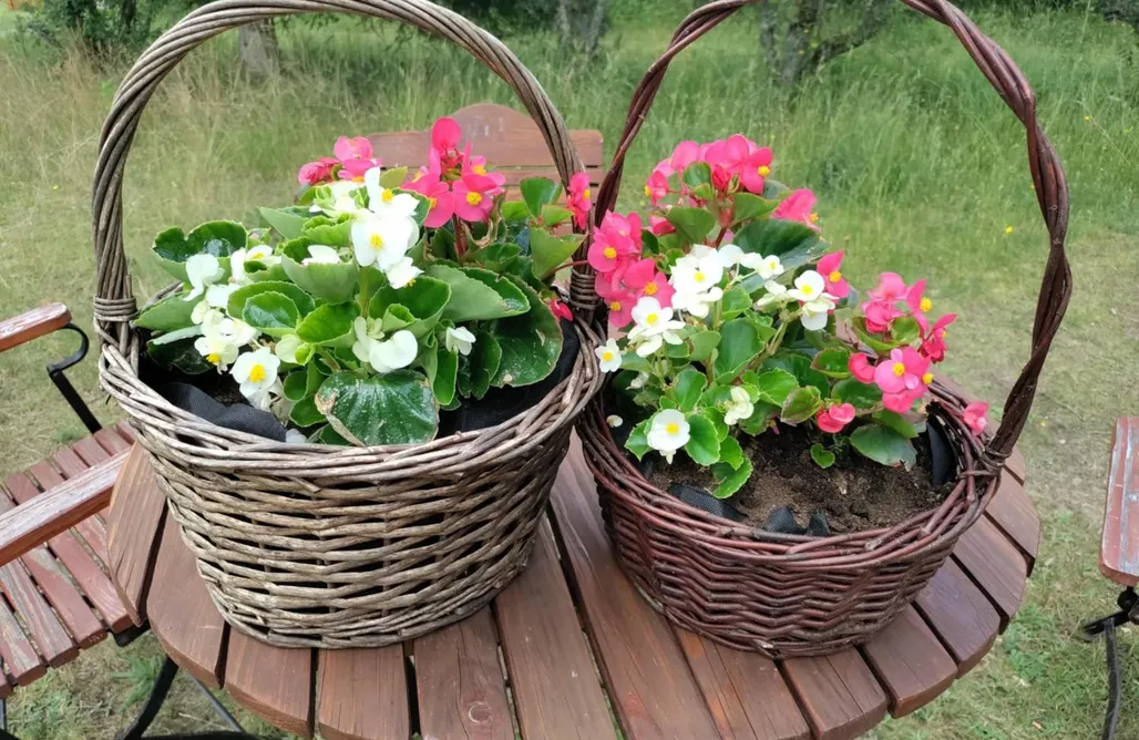 Romantyczny Weekend dla Dwojga Widny Jaś zaprasza z psem nad jezioro na Kaszuby 1