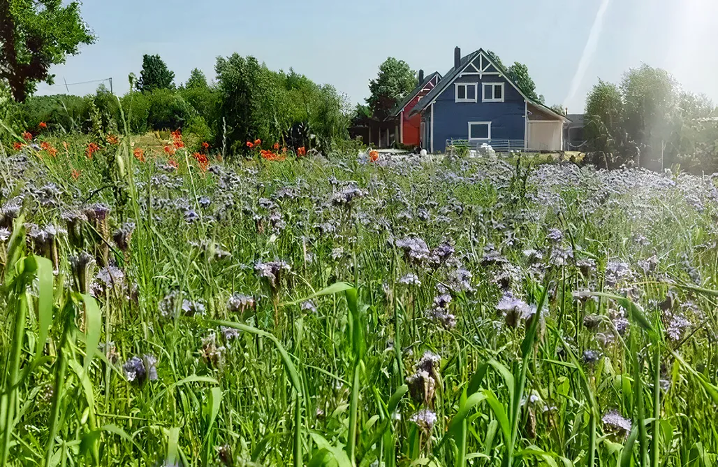 Domek Z Balią Kaszuby Ramlejowe Wzgórze 2